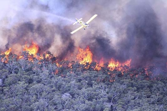 Victoria Fire Authority are fighting a desperate battle to contain dozens of bushfires that have broken out across the county as southern Australia swelters in a deadly heatwave.