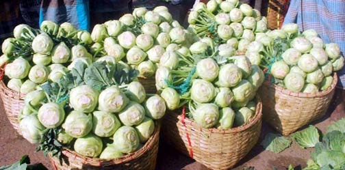 Sitakunda vegetable growers in trouble as there is no buyer in the market .