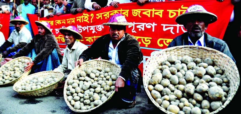 Farmers with baskets full of potatoes formed a human chain in front of Jatiya Press Club on Monday protesting low price of potatoes while demanding compensation.