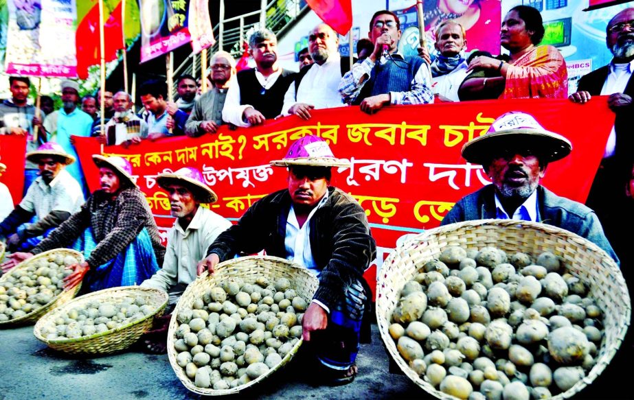 Farmers are demonstrating in front of Jatiya Press Club demanding fair price of potatoes recently.