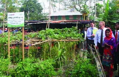 BARISAL: US Ambassador to Bangladesh Dan W Mozena and US Agency for International Development Mission Director Janina Jaruzelski visited different development programmes at Badarpur Farmers' Field School funded by USAID on Wednesday.