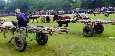 NARAIL: A view of a horse race held at the concluding day of Sultan Mela in Narail on Tuesday.