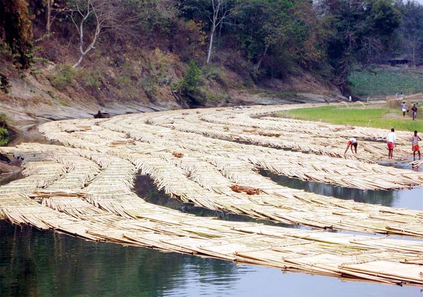 Thousands of bamboos felt by miscreants from the Reserved Forest at Matamuhuri in Ali Kadam are floating in the lake.