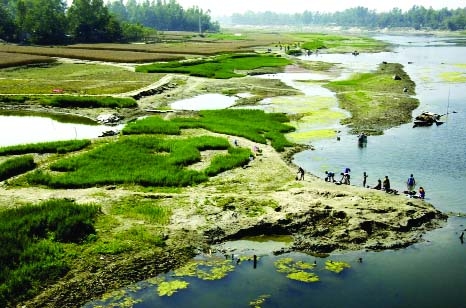 BOGRA: Crops are being cultivated on the river bed of Ichhamati at Gabtoli Upazila in Bogra district as the river is dried up and the banks of the both sides are being encroached by the influentials leaving the river in sorrow state. This picture was ta