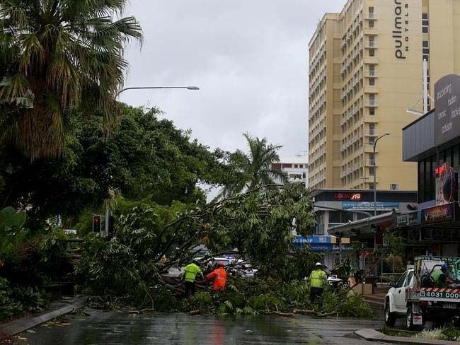Workers remove a large tree from Abbott street in the Cairns CBD after severe tropical cyclone Ita makes landfall in North Queensland.