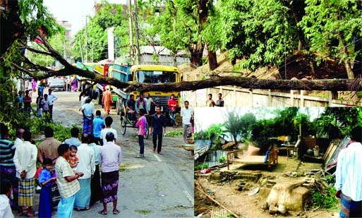 A strong nor'wester on Sunday night lashed several districts after a few days of countrywide sweltering heat. Photo shows affected Netrakona inset (bottom right) and Sylhet.