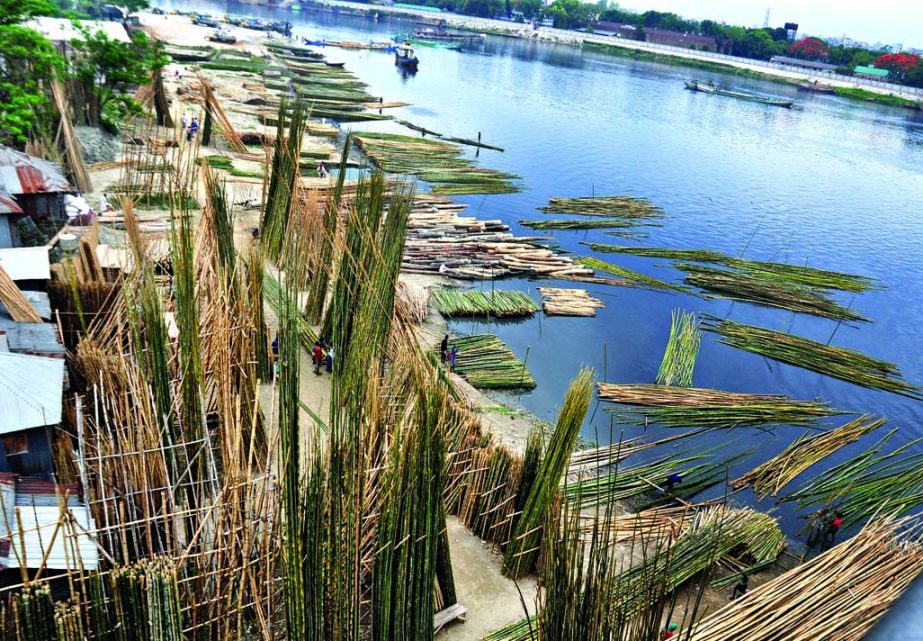 Vested quarters illegally continuing their bamboo trading, occupying vast areas of the bank of the River Shitalakkhya, ignoring the HC order against grabbing river land. This photo was taken from Rupganj's Tarabo area on Saturday.