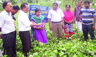 RANGPUR: Officials of Mithapukur Agriculture Office visiting a mugbean field at a programme arranged by RDRS Bangladesh at Khamar Fatehpur village in Mithapukur Upazila yesterday.