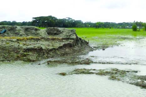 NOAKHALI: Tidal weaves damaged flood control dam at Nalchira Union of Hatia on Sunday.