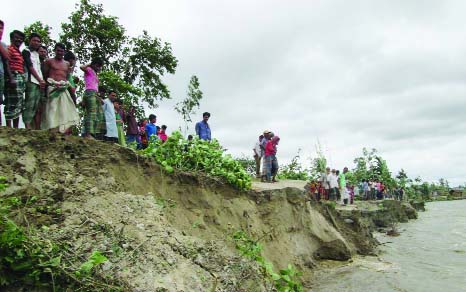 BOGRA: Jamuna River erosion threatens Rouhadoha Bazar area dam and it may collapse any time . This picture was taken from Kamalpur Union on Monday.