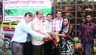 RANGPUR: World Vision Bangladesh distributing golden Variety chicken among extremely poor households for setting up of eco-friendly domestic poultry farms in Pirganj Upazila in Rangpur on Sunday.