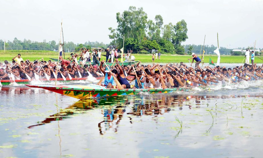 A scene from the Walton Marcel Singna Boat Race which held on Friday at the Kumari Beel of Singna under Kalihati upazila of Tangail district. Over 100 teams from across the country participated in the five sections of the meet that featured both male an