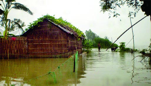 Low-lying areas along with thousands of hectares of croplands have been inundated in Gaibandha due to the sudden rise of flood waters in Jamuna-Teesta-Brahmaputra Rivers. This photo was taken from Fulchhari village of the district on Tuesday.