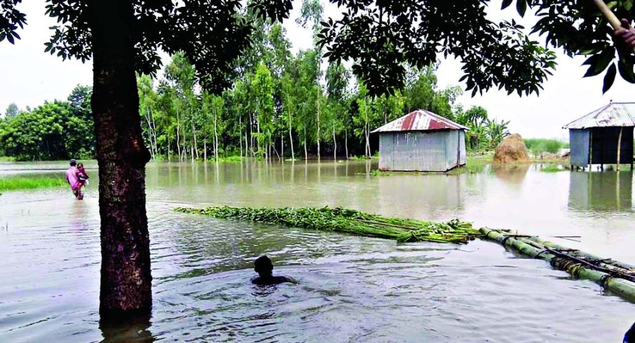 Flood situation in Gaibandha, Kurigram deteriorated further on Friday due to continued rain and onrush of water from upstream.