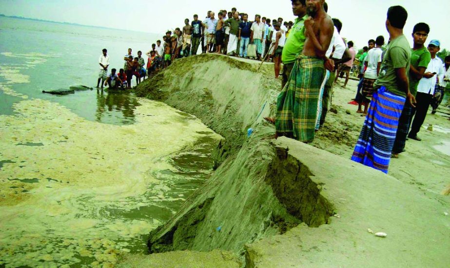 Panicked people of Sariakandi in Bogra gathered to witness the erosion by Jamuna river about 30 metres of Chandanbaisha-Sheikhpara flood-control embankment.