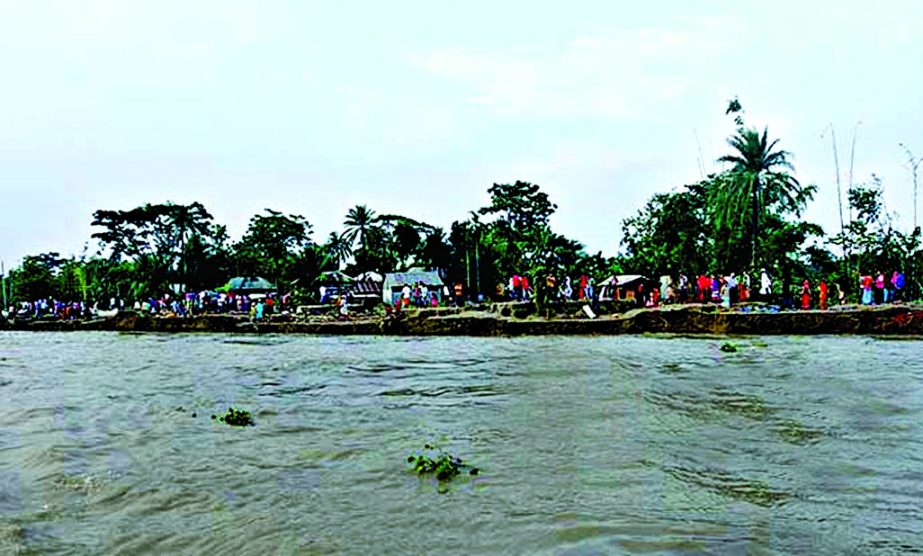 Several villages of Dohar upazila under Munshiganj district are on the verge of extinction due to erosion of Padma River. This photo was taken on Tuesday.