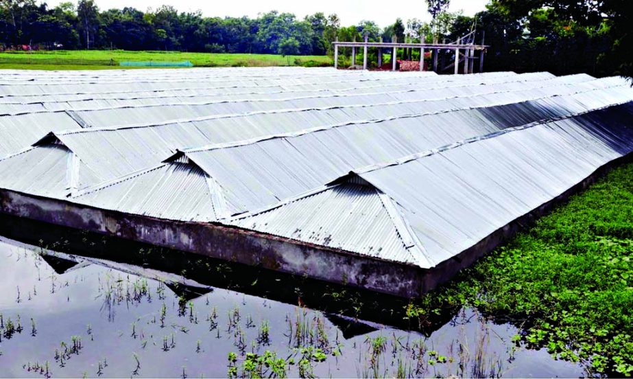 Tinshed houses of the workers of different factories located beside Dhaka-Tangail Highway have been inundated by the on-going flood waters. This photo was taken from Sutrapur area of Kaliakoir on Sunday.