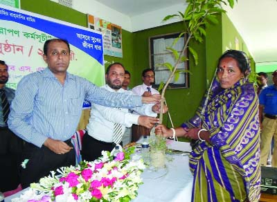 KISHOREGANJ: ADC(Gen)Md Zaman Ahmed distributing saplings among 250 poor women organised by Islami Bank Bangladesh Ltd at Maria UP Complex in Kishoreganj Sadar Upazila on Thursday with Md Matiar Rahman, Executive Vice - Chairman of the Bank in the chair.