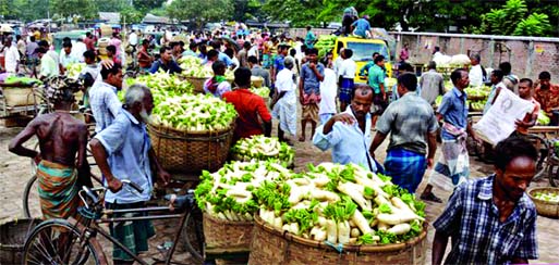 Though early produced winter vegetables hi-brid radish have flooded market in Sonatala area of Bogra, the consumers show limited interest to buy those.