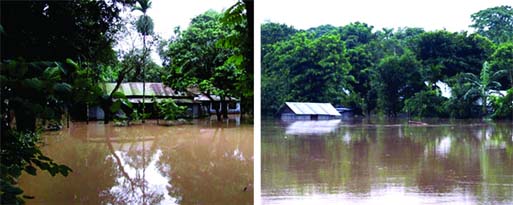 Over 200 villages in Durgapur, Netrakona were inundated following on-rush of hilly waters forcing many people move to safer places on Tuesday. FNS photo