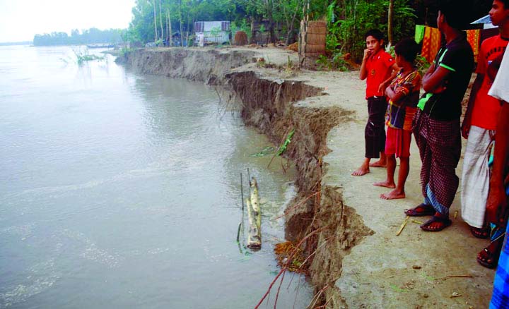 BOGRA: Jamuna River erosion engulfing Koiyagee village in Dhunot Upazila . This picture was taken on Tuesday.