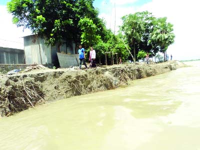 FARIDPUR: Arialkha River erosion has threatened hundred of villages at Sadarpur Upazila. This picture was taken on Friday.