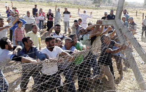 Fury: Turkish Kurds destroy fences at the Syrian border during a protest against Islamic State violence towards Syrian Kurdish people in Kobani, near Suruc distric.