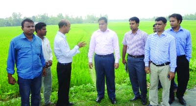 BOGRA: Md Shafiqual Reza, DC, Bogra visiting Aman paddy field at Bishwash Horigasha of Dhunot Upazila on Tuesday.