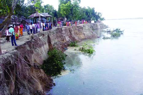 GAIBANDHA: Jamuna erosion has taken a serious turn in Gaibandha .This picture was taken on Thursday.