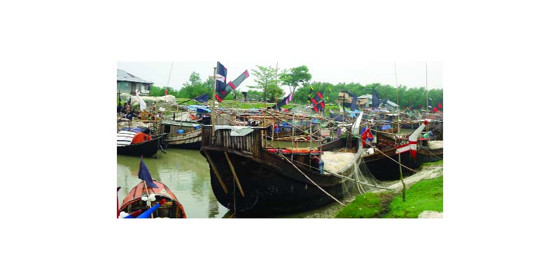 PATUAKHALI: Boats are ready for Hilsa fishing at Kalapara Upazila after end of 11-day ban on Saturday.
