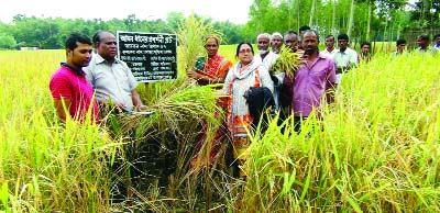 RANGPUR: Haribhasha Union Federation with RDRS Bangladesh organised a farmers' field day for harvesting drought tolerance BRRU dhan 57 rice in Kholapara village in Panchagarh on Sunday.