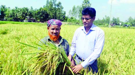 SHERPUR( Bogra): Md Abdur Rahim , Upazila Agriculture Officer inaugurating harvesting of BRRI dhan 62 from the field of farmer Md Shamsur Rahman at Rajapur village in Sherpur Upazila recently.
