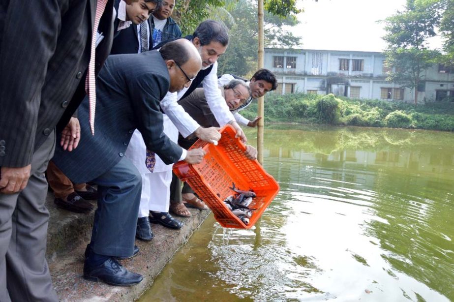 ABM Fazle Karim Chowdhury MP, Chairman , Standing Committee on Railway Ministry releasing fish fries in a pond at CUET campus yesterday