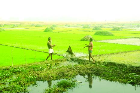 BOGRA: Farmers in rural areas still using traditional irrigation method. This picture was taken from Nimgachhi Dinglibill area of Dhunot Upazila yesterday.