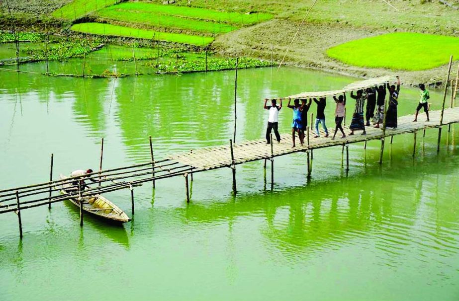 GAIBANDHA: About 170- feet long bamboo bridge is being voluntarily built by four young men on Ghaghat River at Kholahati Union in Gaibandha Sadar Upazila. This picture was taken on Wednesday.