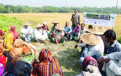 BARISAL: A farmers' gathering on the occasion of World Soil Day was held at Durgapur in Barisal yesterday.