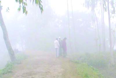 KURIGRAM: Normal life has been paralysed due to cold and dense fog in Kurigram .