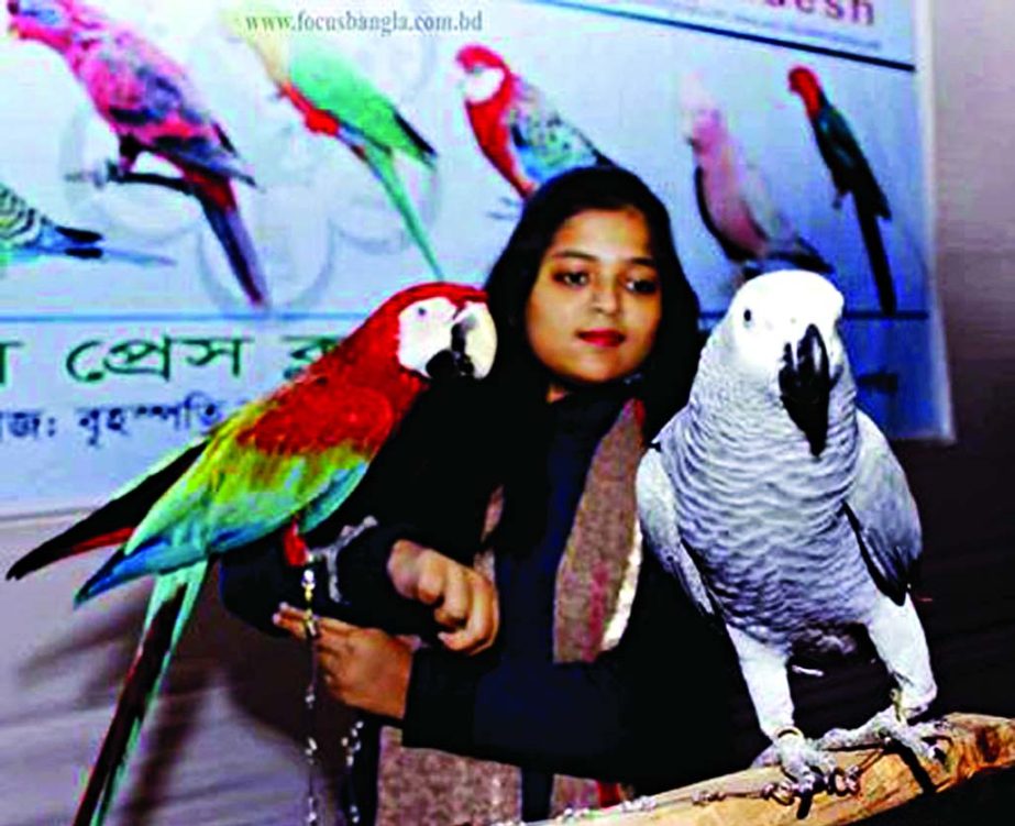 Bird lovers exhibit their foreign pets at the two-day exhibition held at the Jatiya Press Club organised by Avicultural Society of Bangladesh on Thursday.