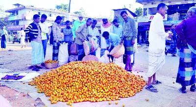 SYLHET: Batel-nut traders are busy in selling their products at Jokiganj Upazila on Tuesday.