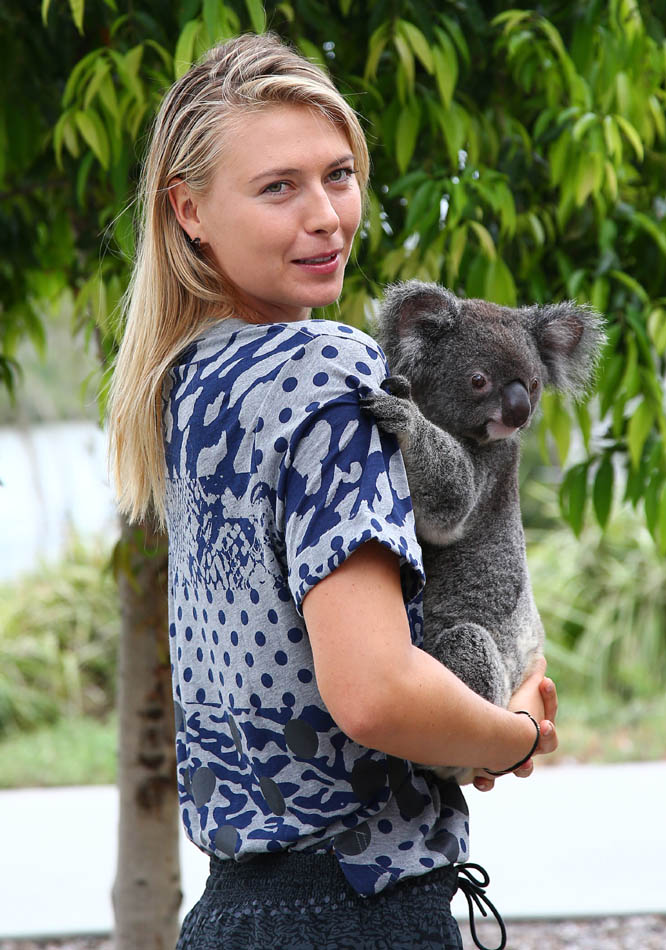 Maria Sharapova of Russia poses with Sinnamon, a koala from Lone Pine Koala Sanctuary, in Brisbane, Australia, Wednesday, Jan. 7, 2015. Sharapova is playing at the Brisbane International tennis tournament.