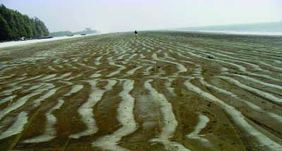 KUAKATA(Patuakhali): Kuakata Sea Beach has turned touristless due to countrywide non-stop blockade programme. This picture was taken on Wednesday.