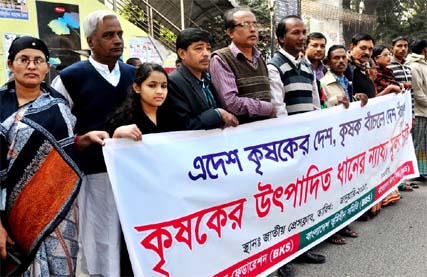 Different organisations organised a human chain in front of the Jatiya Press Club on Saturday demanding fair price of paddy.