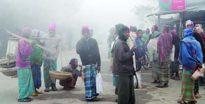 GAIBANDHA: A farmer drying paddy on Gaibandha- Polashbari Highway as no vehicle was available during Wednesday's blockade programme.