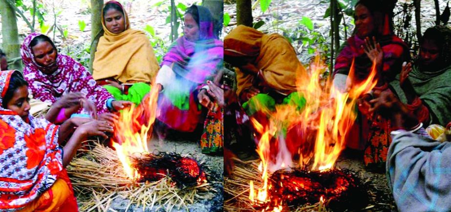 RANGPUR: The cold stricken rural women trying to warm them through burning straws to escape bone- chilling bite of sweeping cold wave in the district on Tuesday.