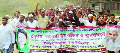 COMILLA: 20 party allaiance brought out a procession at Muradnagar on Saturday.