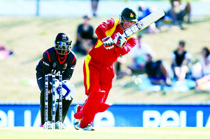 Craig Ervine nudges the ball into the leg side during the 2015 ICC Cricket World Cup match between Zimbabwe and the United Arab Emirates at Saxton Field in Nelson, New Zealand.on Thursday. Photo: Internet