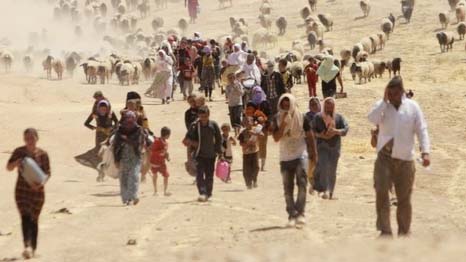 Iraqi minorities, such as the Yazidis, have been subject to genocide by IS, the report argues.