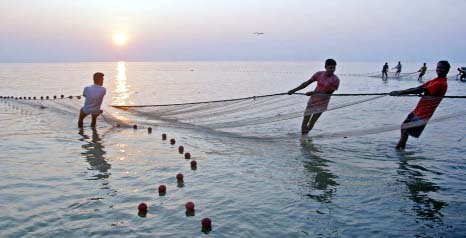 KUAKATA(PATUAKLHALI): Fishermen in Kuakata illegally catching shrimp fries using current nets . This picture was taken on Friday.