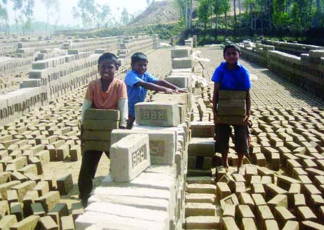 RANGPUR:Child labourers are working in the brickfield at Badarganj in Rangpur despite government ban . This picture was taken on Thursday.