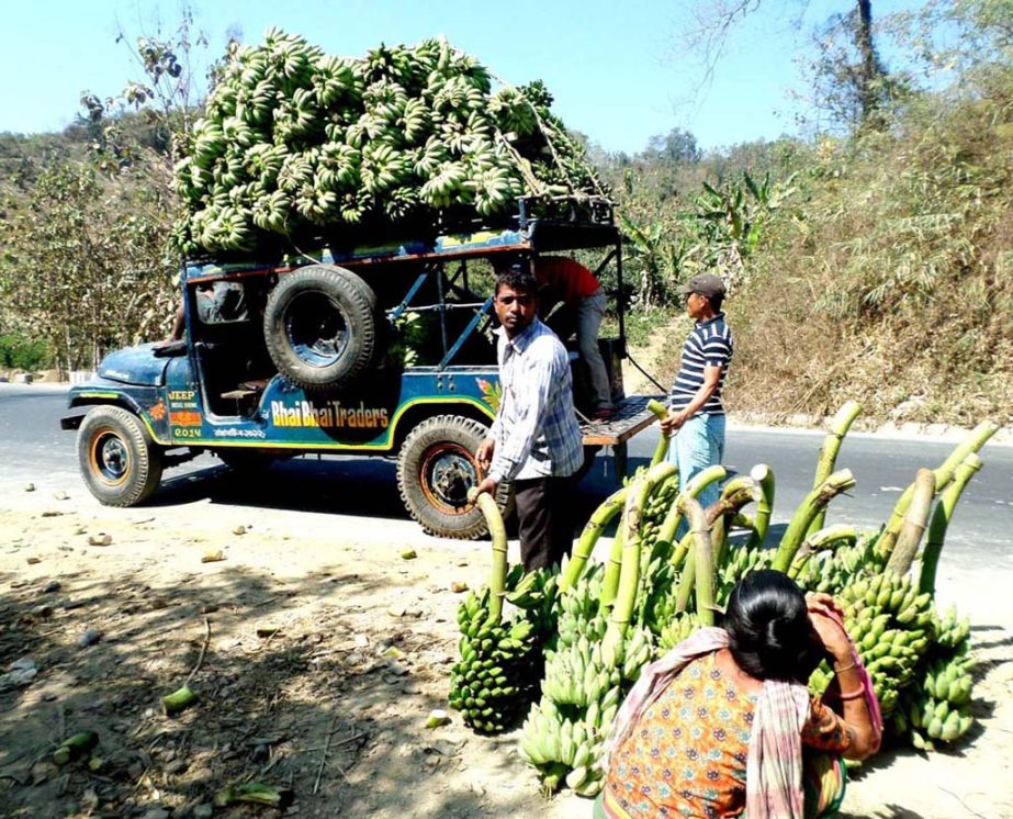 Local traders with their bananas are waiting roadsides sale at Khagrachhari on Friday.